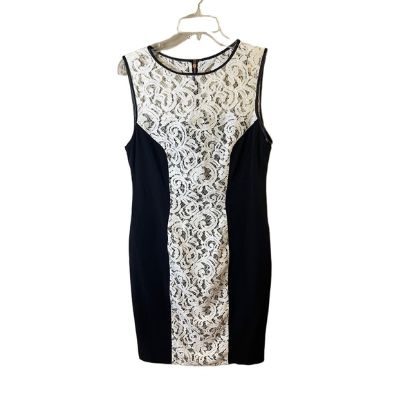 Basler Black And White Lace Front Panel Knee Length Sleeveless Sheath Dress 40 - Picture 1 of 10